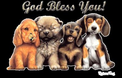 guides you