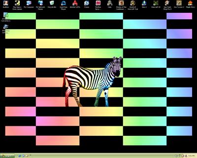 Zebra! at the disco!