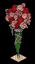 Bella's roses