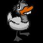 Ugly Duckling