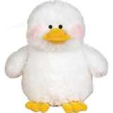 Suffed Duck