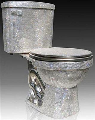 M..M..M..MILLLIONARE TOILET!!!