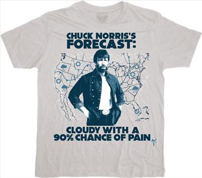 Chuck Norris tshirt