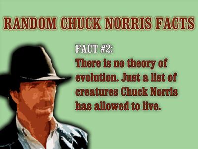 Chuck fact 1