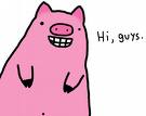 Hi (pig)