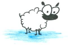 Sheep