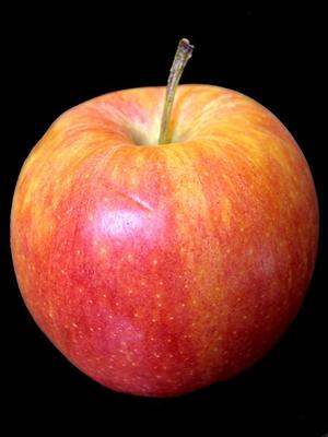 Fruit