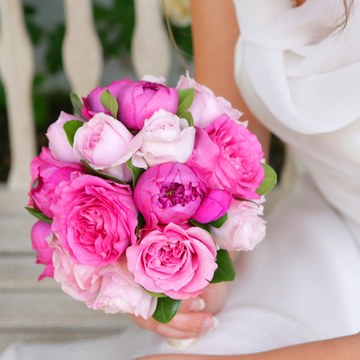 Flowers bngor reglek