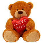 Teddy