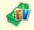 Farm Ville (FV)