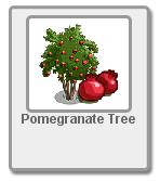 pomegrannate