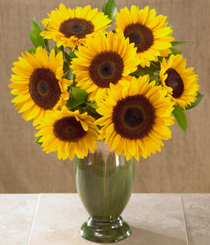 Sun Flower