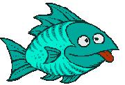 fish