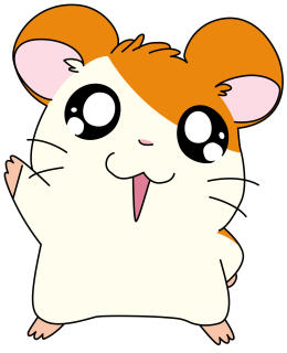 hamster