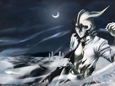 bleach (Ulquiorra)