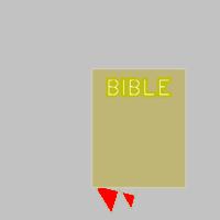 the bible