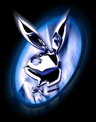 bunny