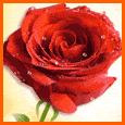 A Special Friend Like You...