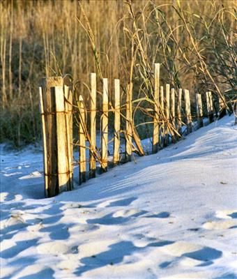 Snow in Myrtle Beach 2010