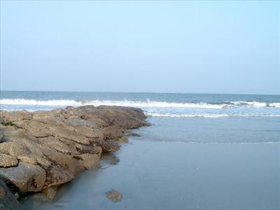 Pawley's Island