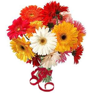 Bunch Of Flowers