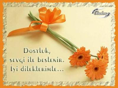 dostluk