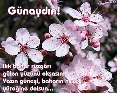 dilek