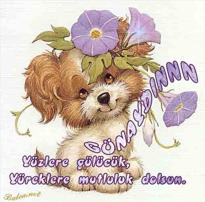 dilek