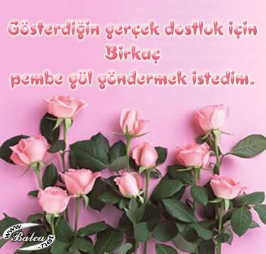 dostluk