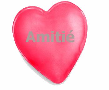 ~ Amitié ~