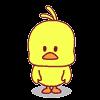 dancing duck