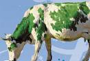 Mint Moocow