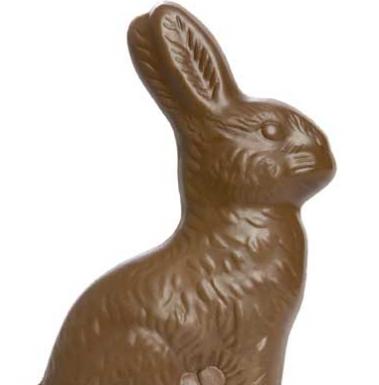 Traditional chocolate bunny