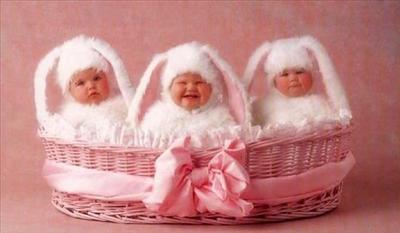 Easter babies in basket