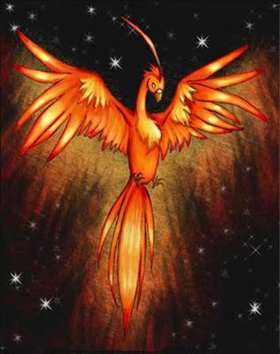 Phoenix