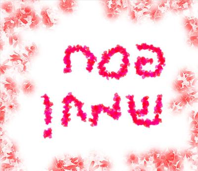 Wish Card 4 U_11