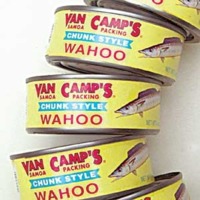 WAHOO (SAMOAN TUNA)