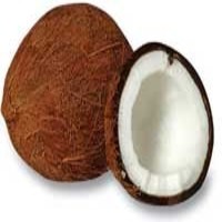 KOKONATI-POPO (COCONUT)