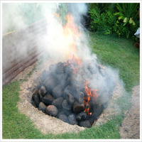UMU PIT (UNDER GROUND OVEN-SAMOAN STYLE)