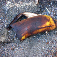 FA'I PALA (RIPE BANANA)