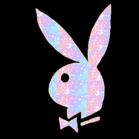 playboy