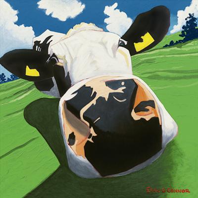 Dizzy Cow