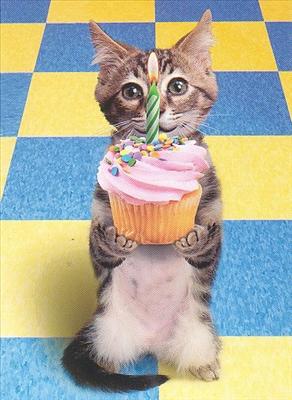 Homemade Catcup!