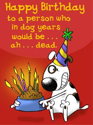 Doggy Years!