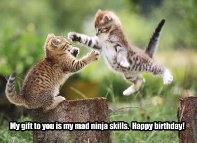 Kitty Skills!