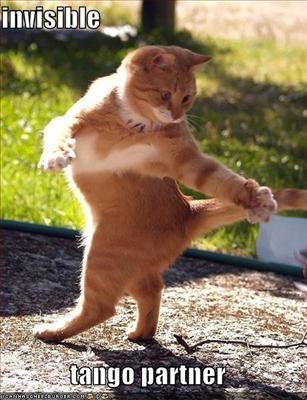 dancing cat