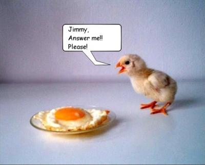chicks egg