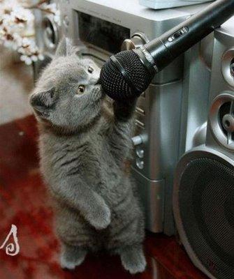 kitty karaoke