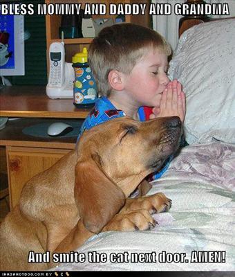 praying dog