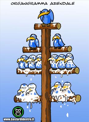 ORGANIGRAMMA